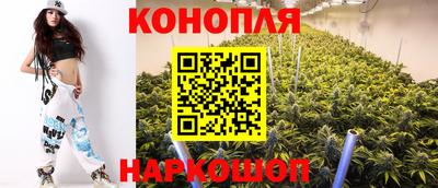 дмт Будённовск