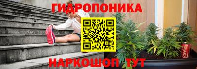 дмт Будённовск