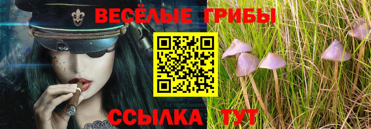 Галлюциногенные грибы ЛСД  Галлюциногенные грибы Psilocybe  Костомукша  закладка  Вход с VPN 